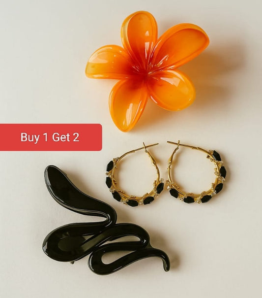 1 Earrings + 2 Clutchers